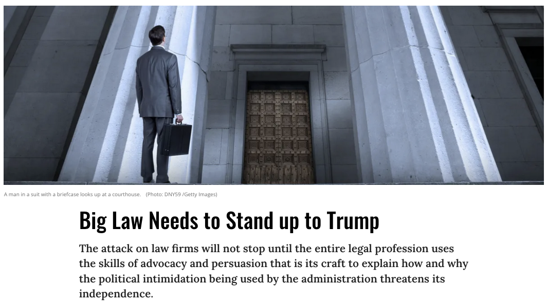 A screenshot of the op-ed.